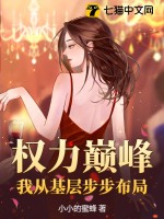 权力巅峰:我从基层步步布局